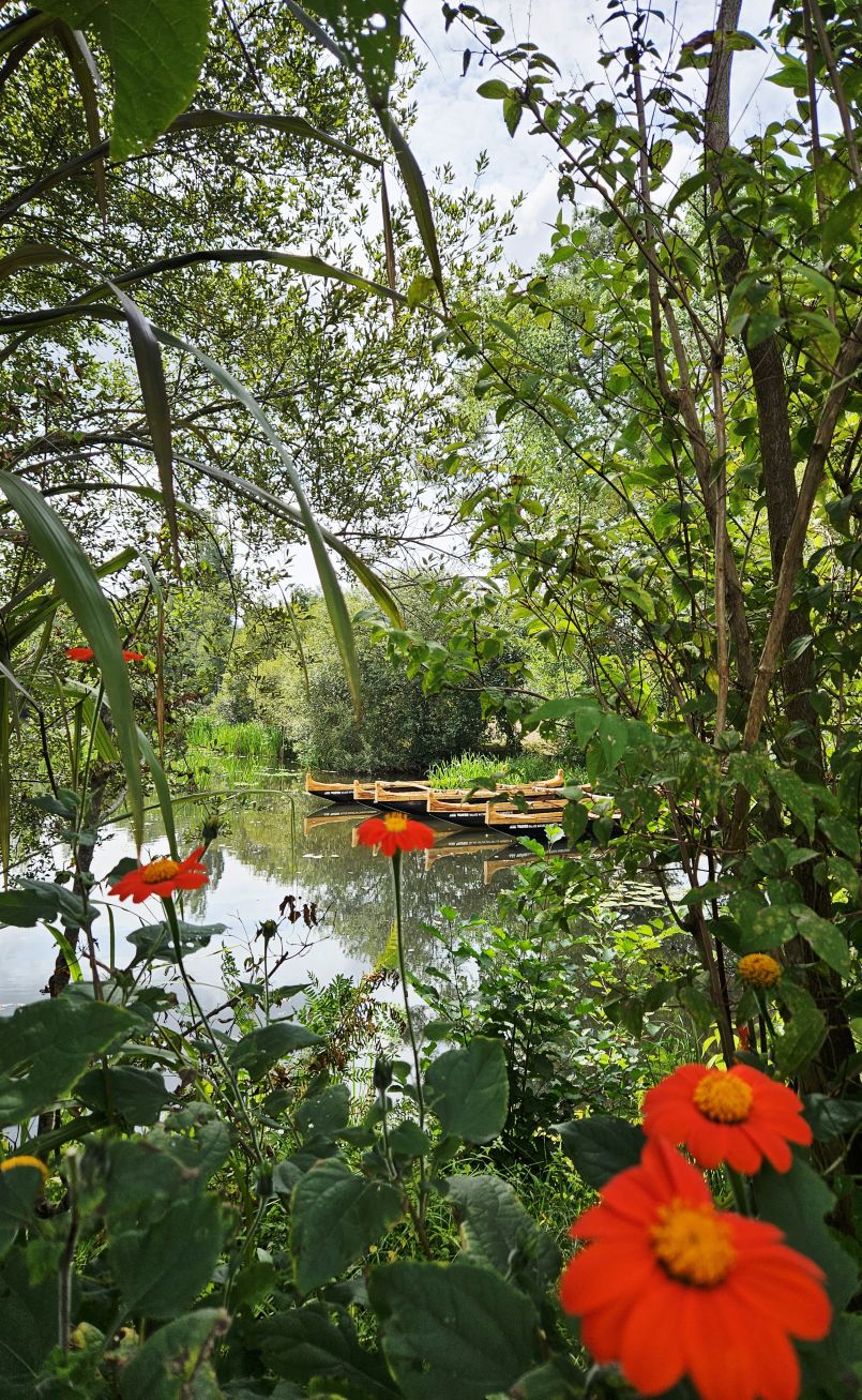 L'abeille et la pollinisation tait au coeur du Forum de l'Agenda 21 Mimizannais. Notre reportage avec les tmoignages et messages de Sophie Weber, Clara Varignon, Pierre Demarque, David Lutton et David Persillon.