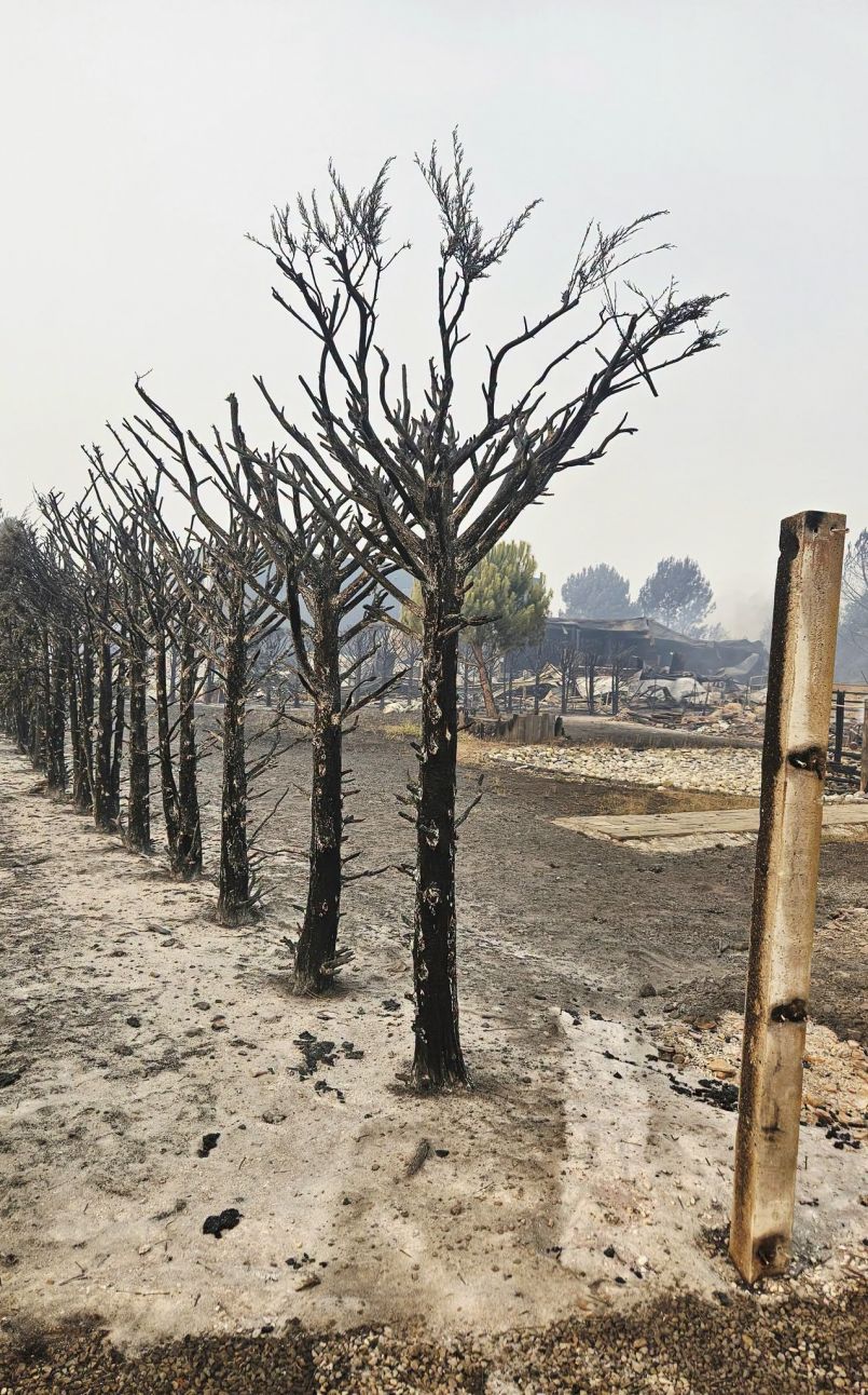 Edition sp�ciale Incendie : les derni�res informations de ce jeudi 30 juillet 2026 � 12h00 avec Emilie Gebleux