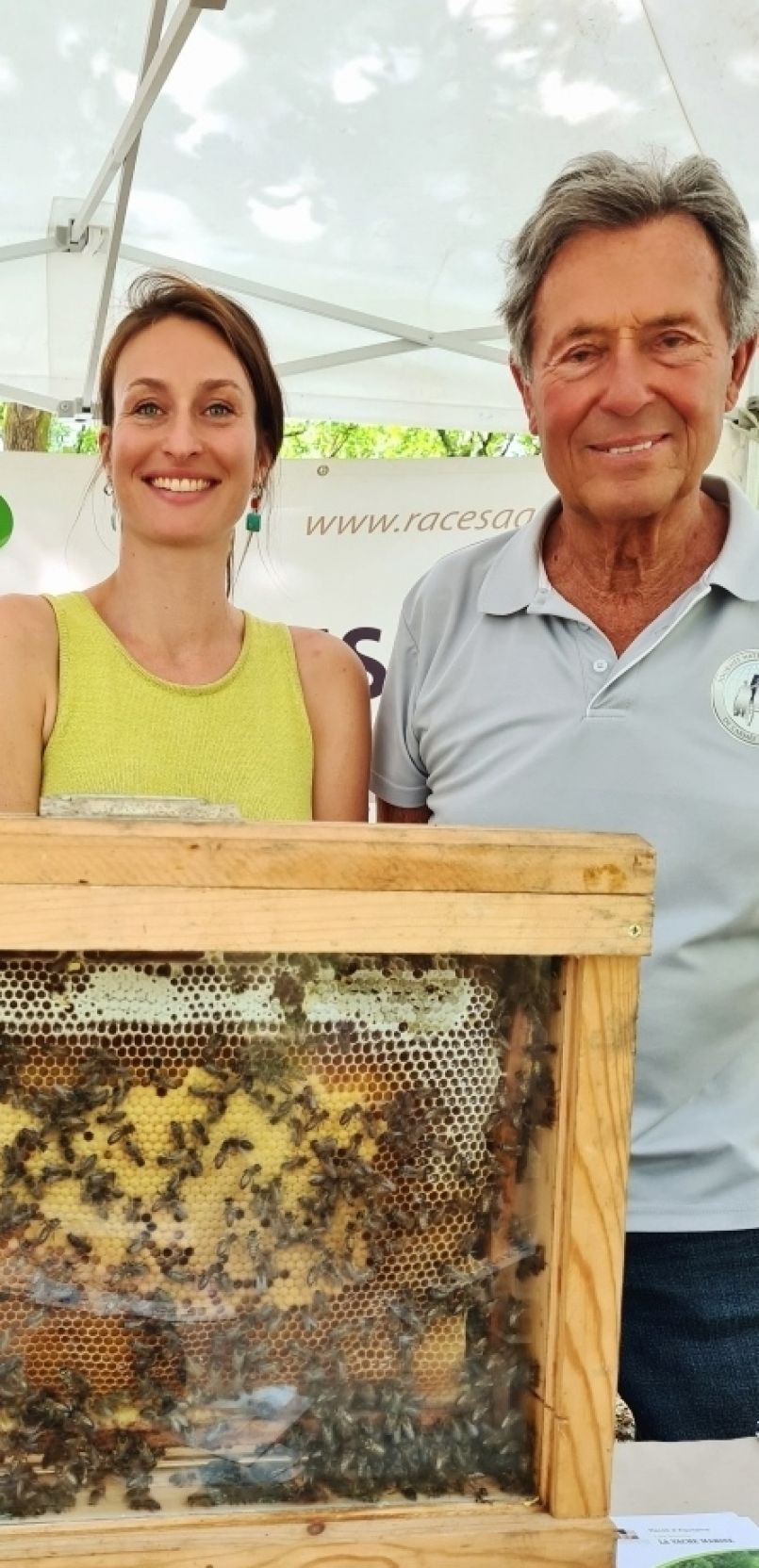 Avec la disparition de Bernard d'Antin de Vaillac, Biscarrosse est orpheline de son Comte. 
