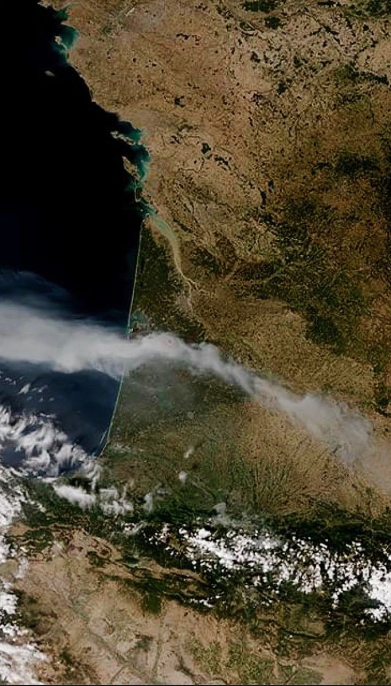 Particules respirées des feux de forêts : attention danger avéré