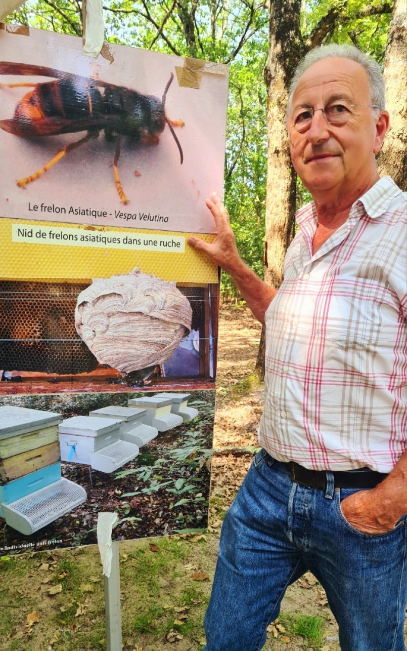 Rencontre avec Regis Ribereau-Gayon à propos de l'abeille noire des Landes. Mythe ou réalité ?